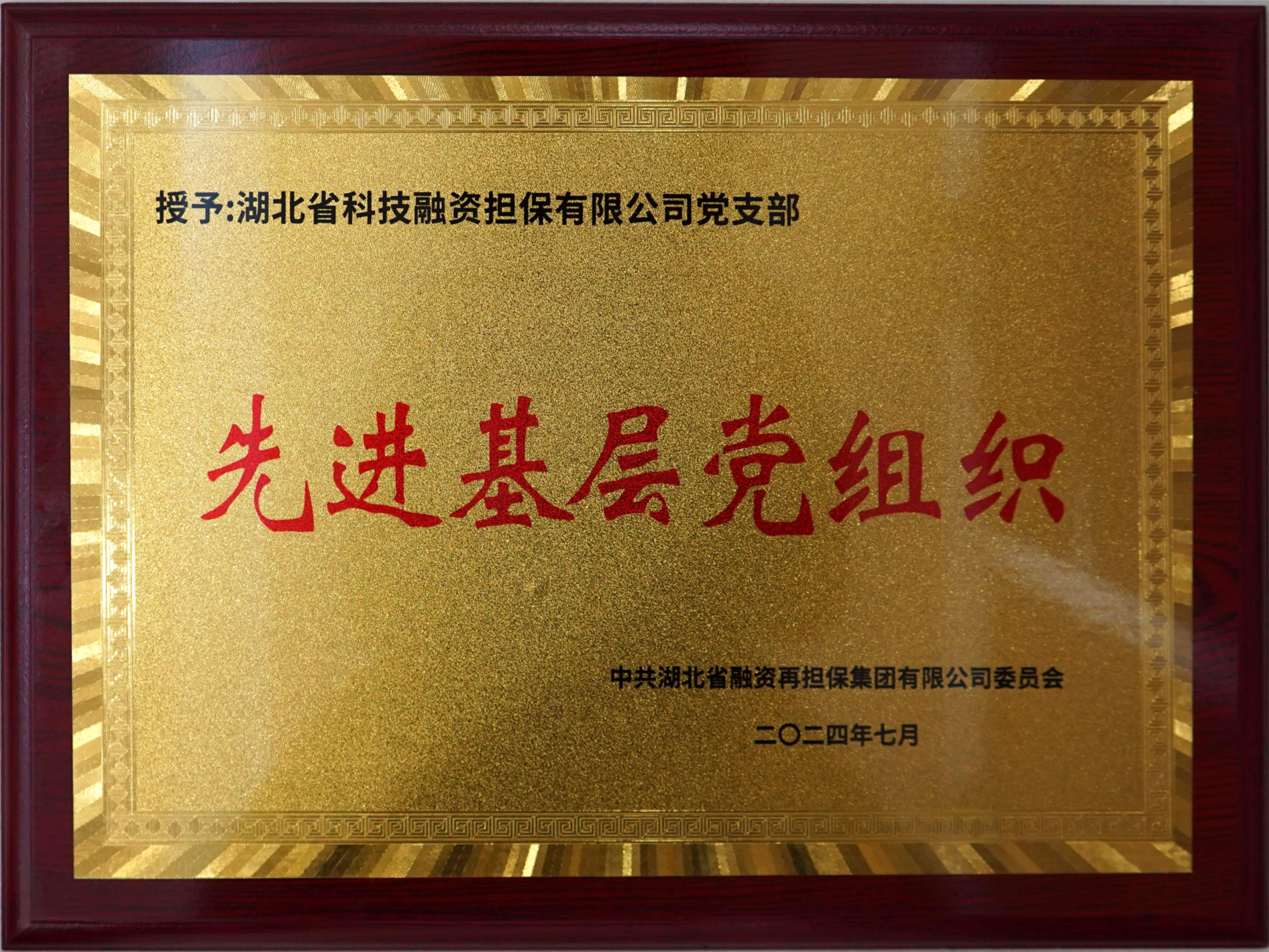 20240701 省再担保集团召开庆祝中国共产党成立103周年暨“七一”表彰大会，公司党支部荣获“先进基层党组织”称号.JPG