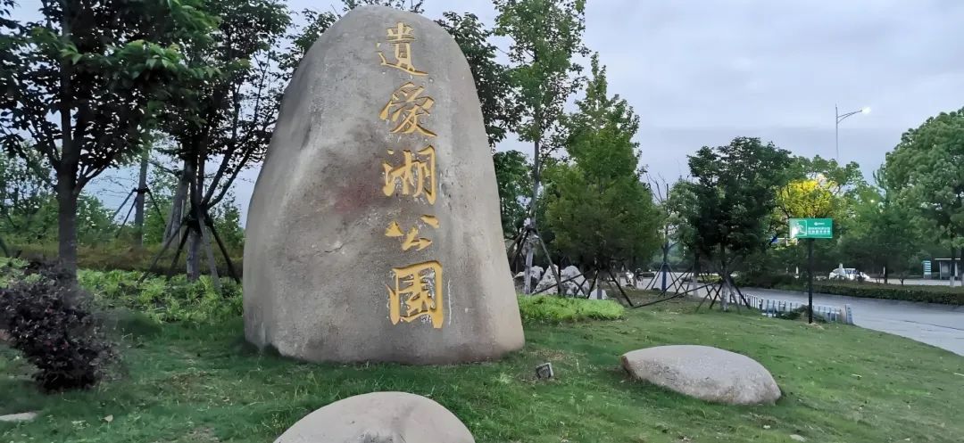 微信图片_20241121100230.jpg