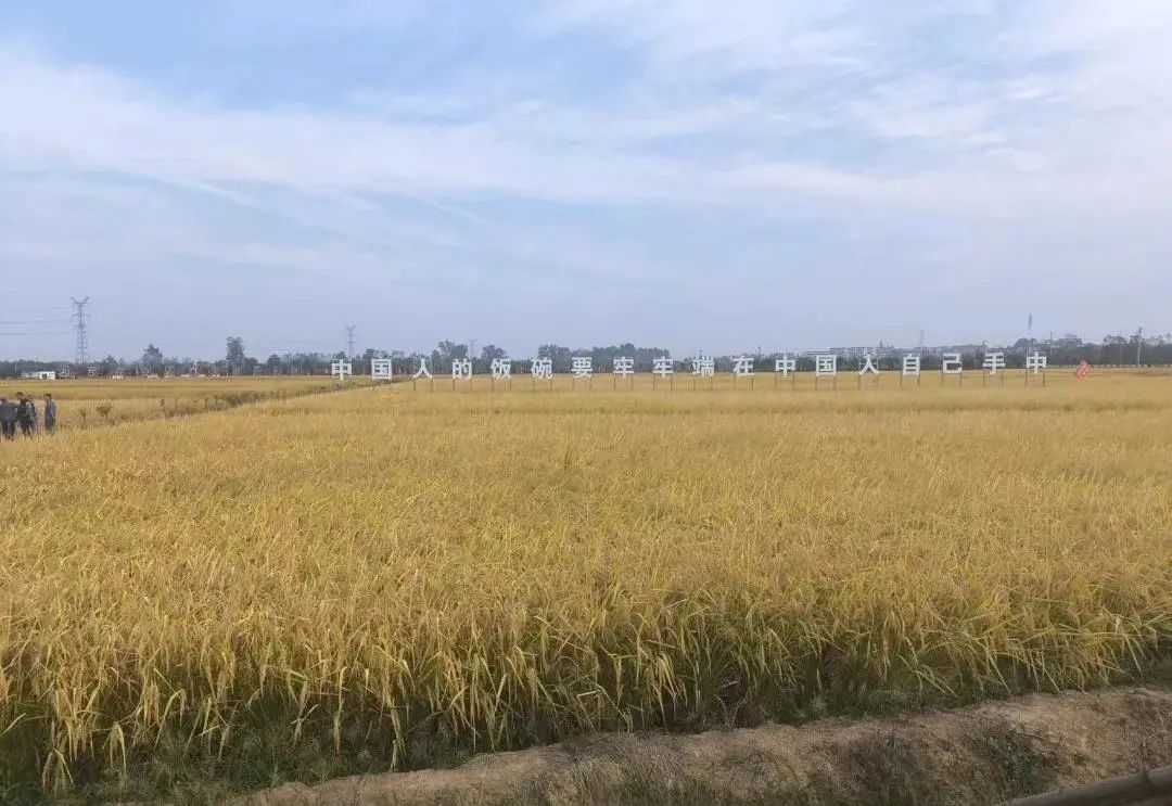 微信图片_20250414093025.jpg